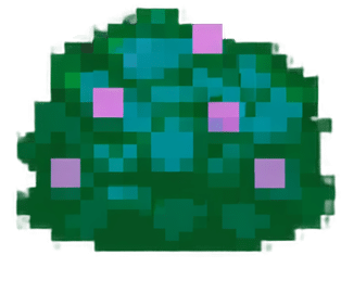 bush